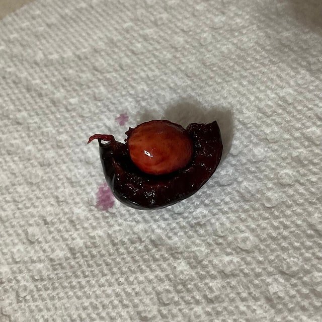 Sweet Cherry