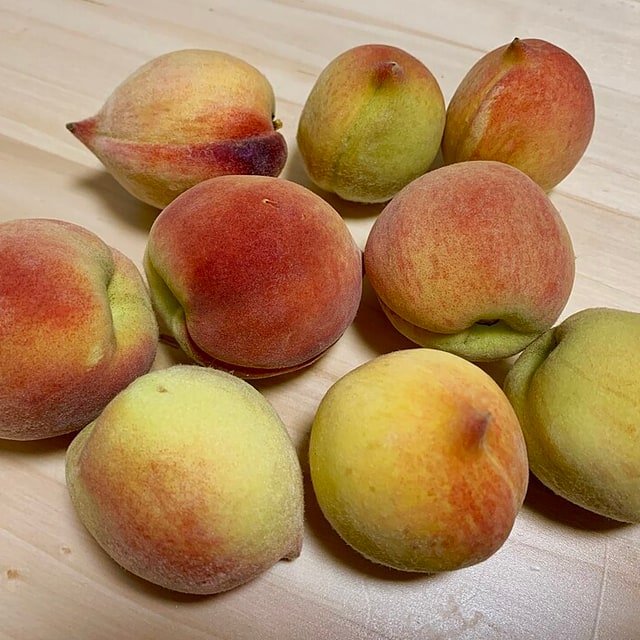 Saturn Flat Peach