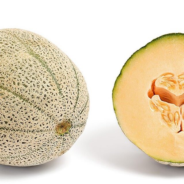 Canary Melon