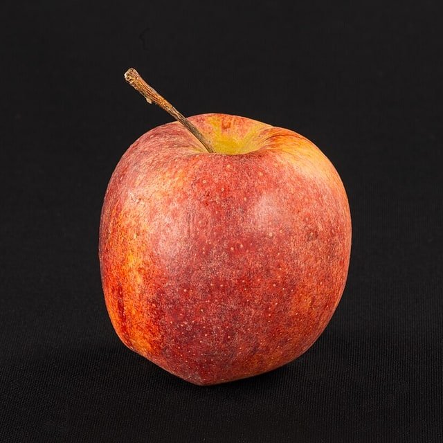 Gala Apple
